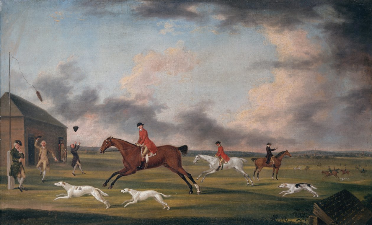 Das Rennen der Hunde in Newmarket von Francis Sartorius