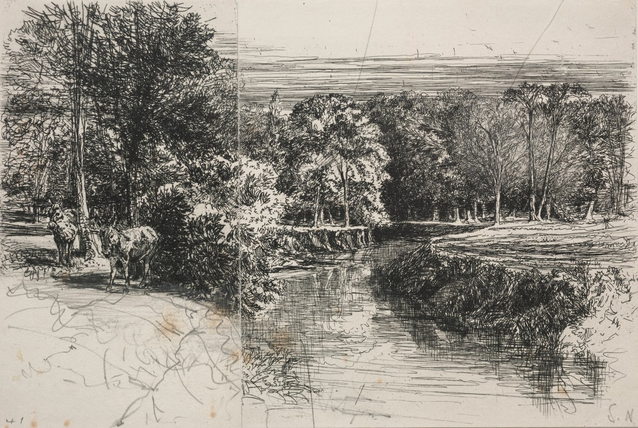 Dundrum River und die zwei Esel von Francis Seymour Haden