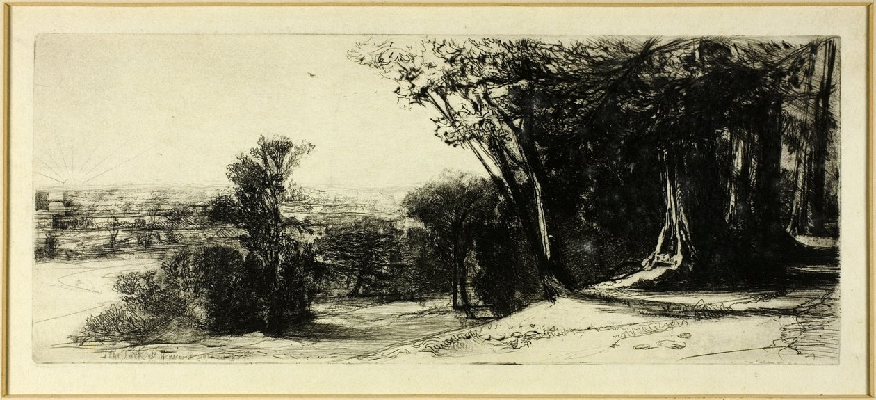 Früher Morgen, Richmond Park von Francis Seymour Haden