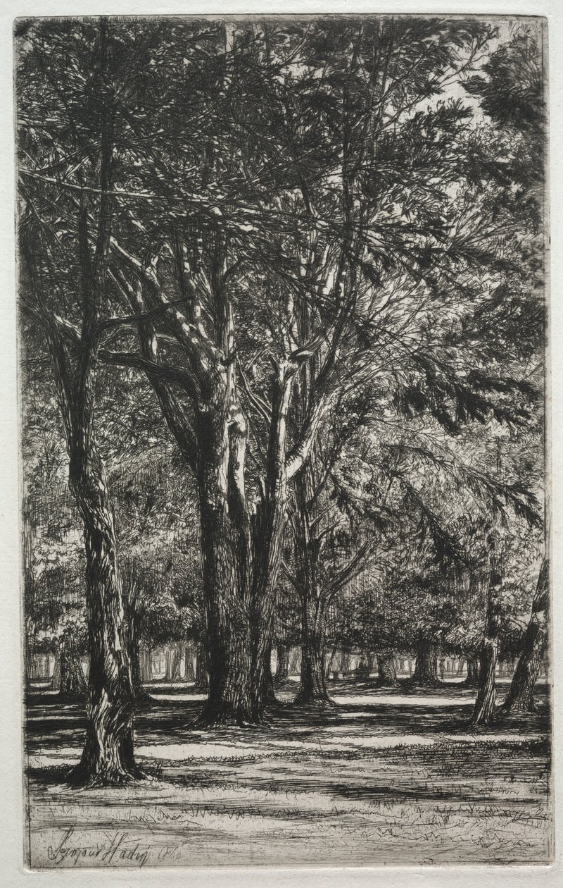 Kensington Gardens Die große Platte von Francis Seymour Haden