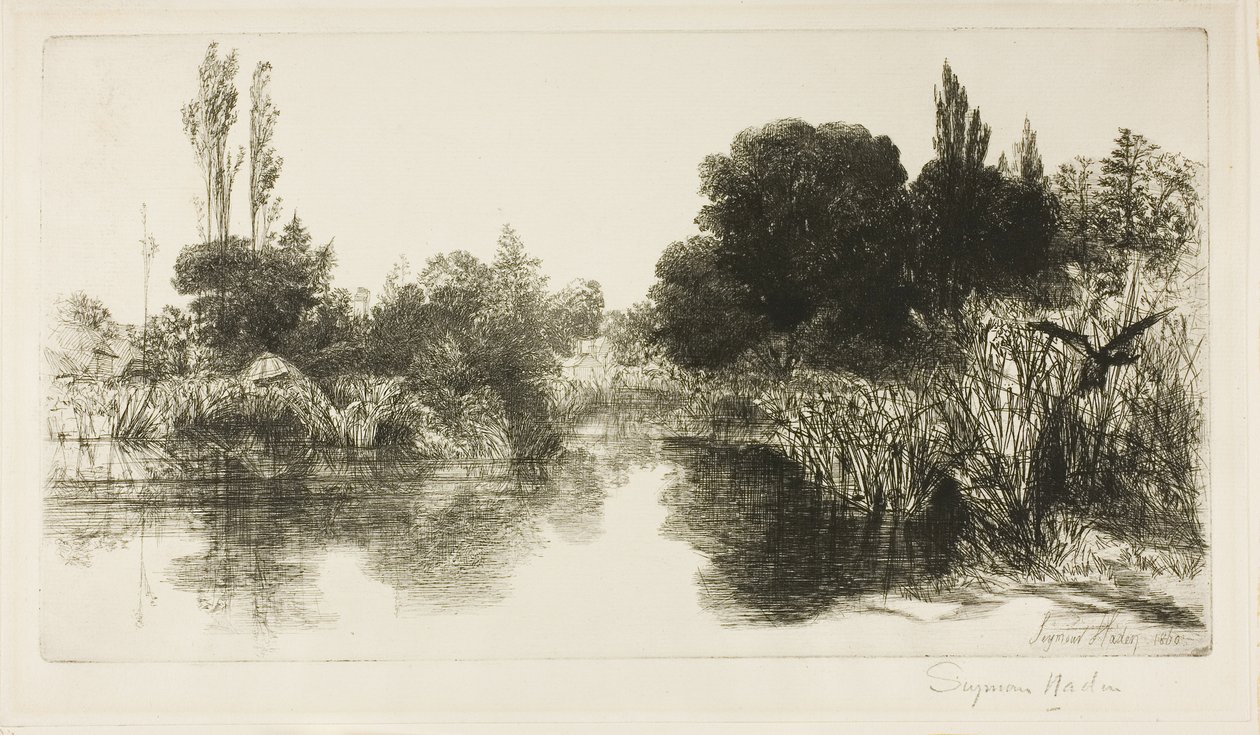 Shere Mill Pond, Nr. II (große Platte) von Francis Seymour Haden