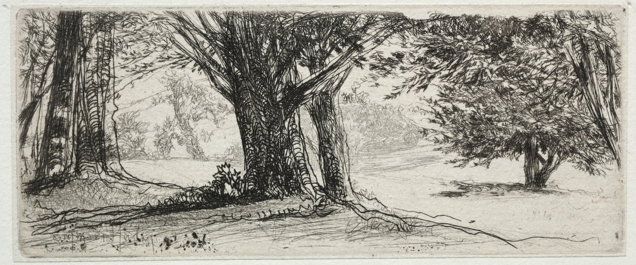 Das Stechpalmenfeld von Francis Seymour Haden