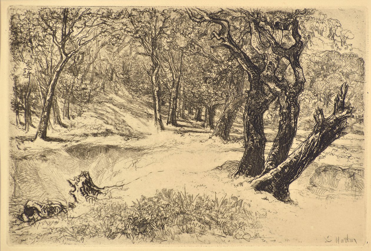 Die drei Schwestern von Francis Seymour Haden
