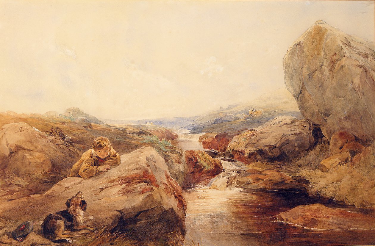 Auf den Mooren von Francis William Topham