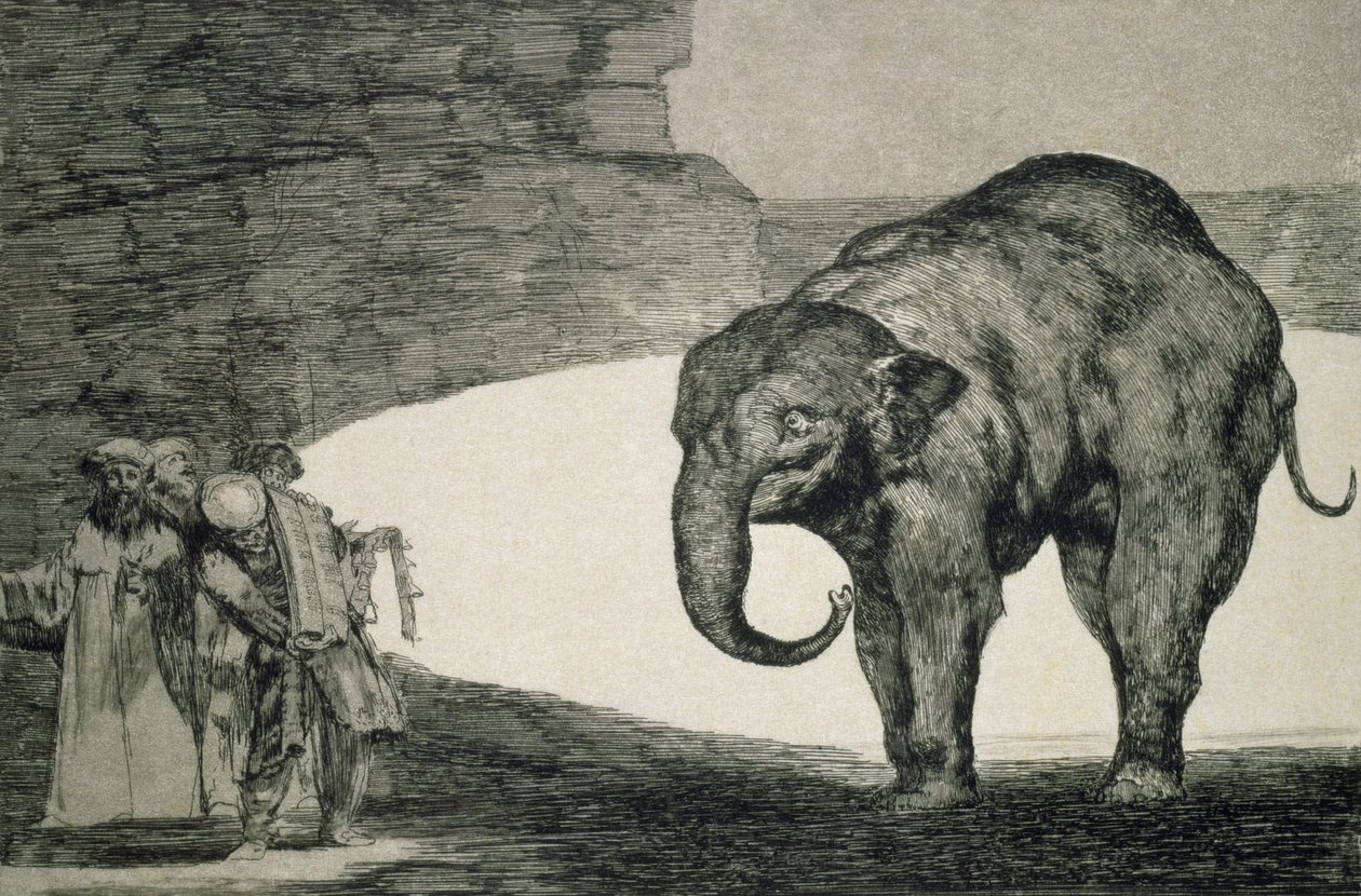 Torheit der Tiere, aus der Serie 