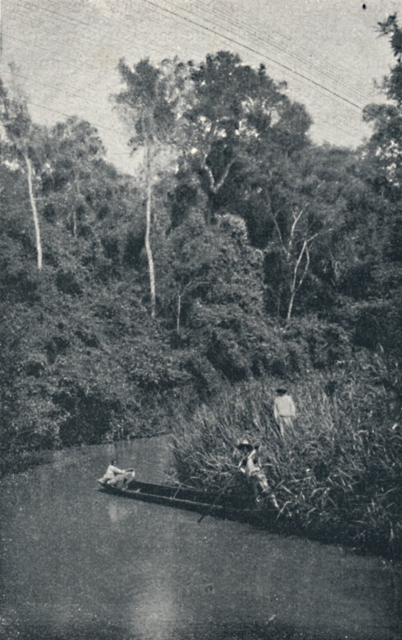 Rio de S. Anastacio, 1895 von Francisco Henszler