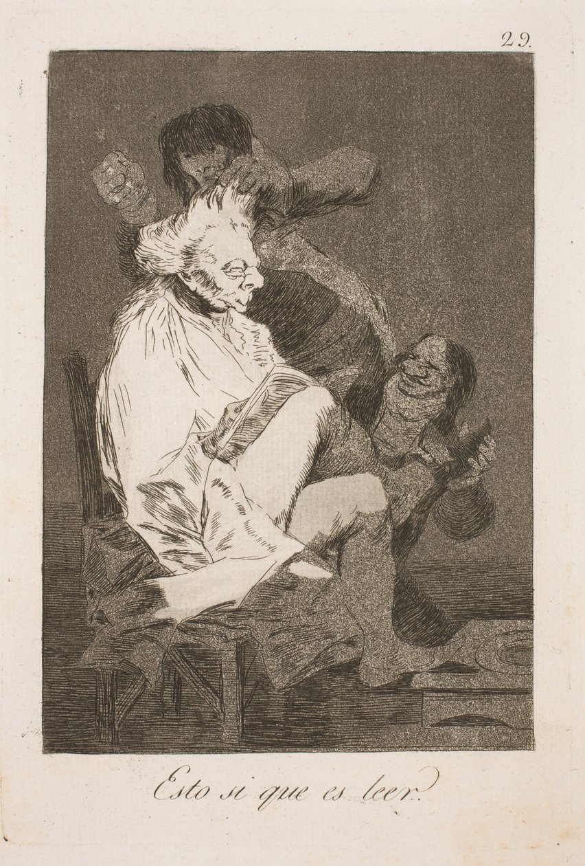 Das nennt man lesen von Francisco de Goya