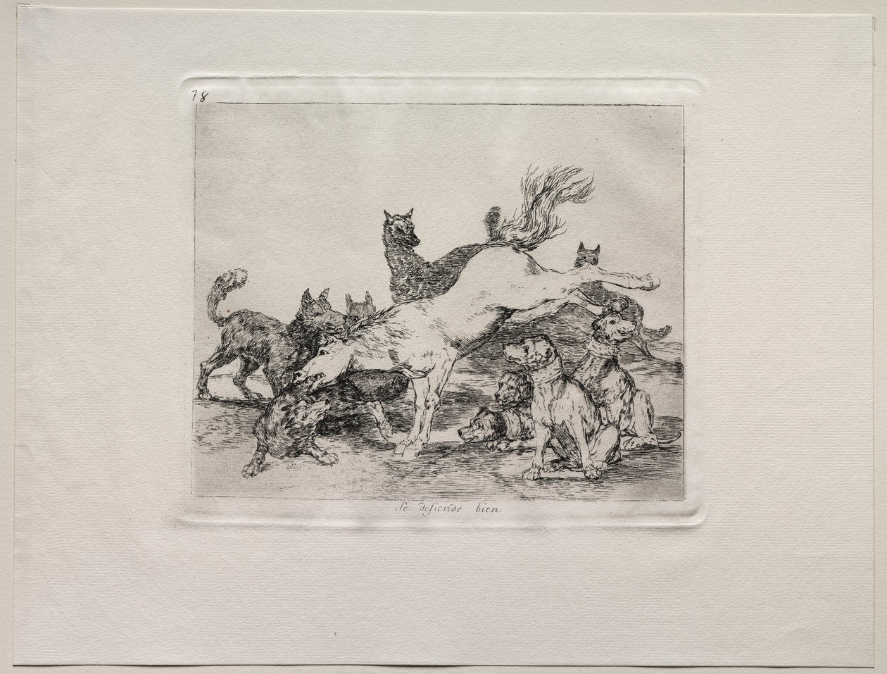 Die Schrecken des Krieges: Er verteidigt sich gut von Francisco de Goya