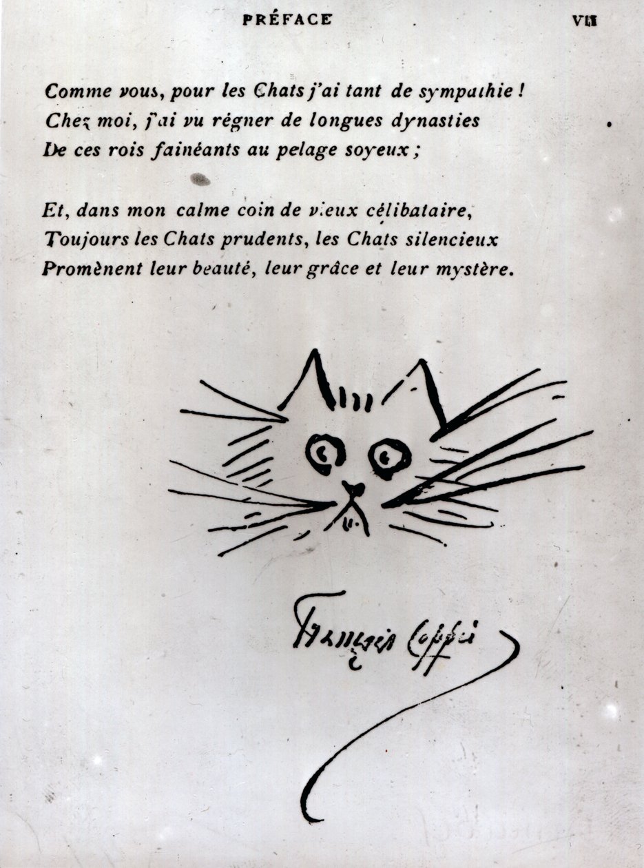 Katzenkopf, Illustration zu einem Gedicht von Francois Coppee von Francois Coppee