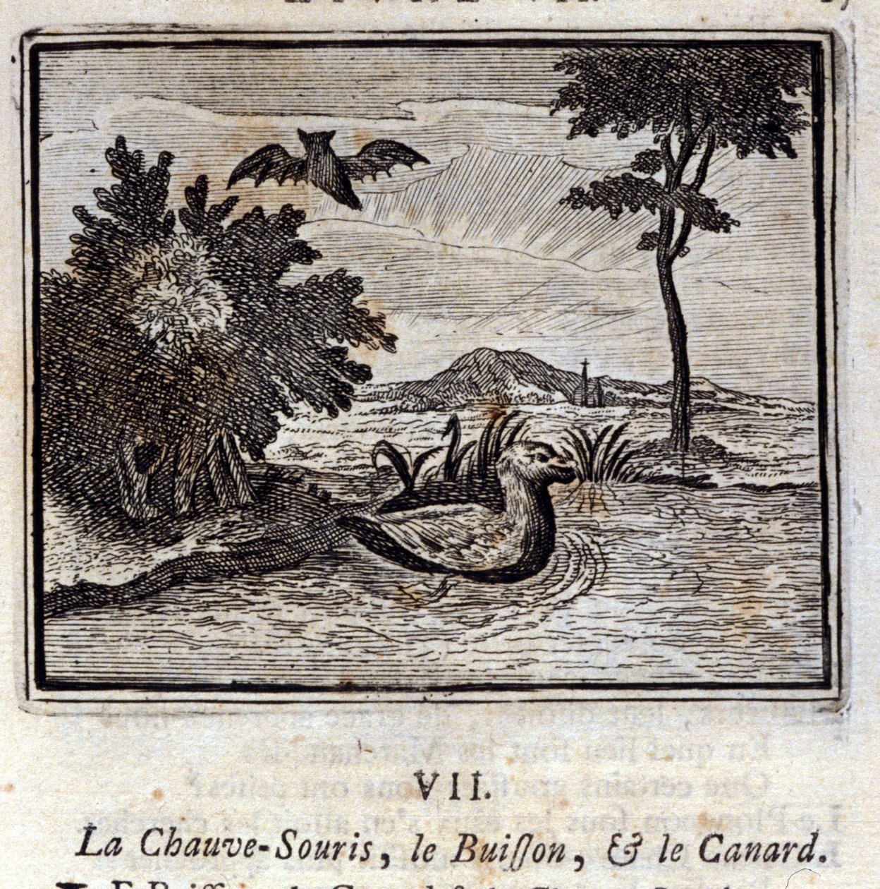 Die Fledermaus, der Busch und die Ente. Fabeln von Jean de La Fontaine. Illustration von François Chauveau. Ausgabe von 1728. von Francois Chauveau