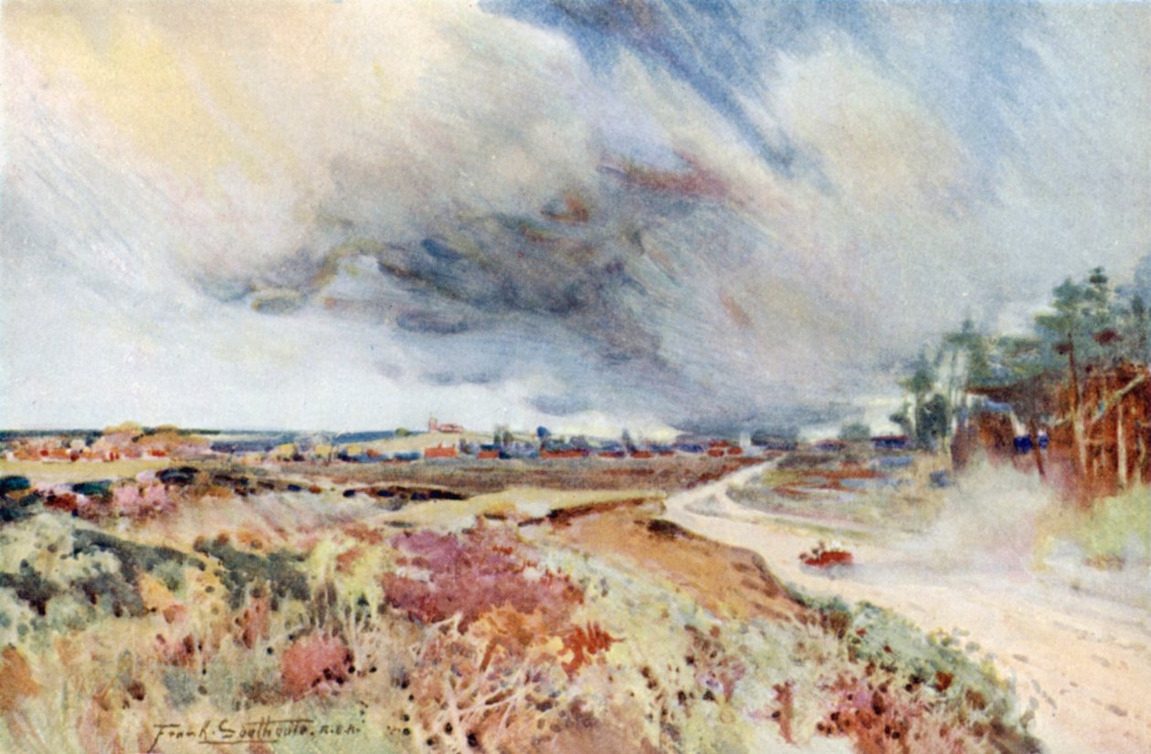 Heide bei Sandringham von Frank Southgate