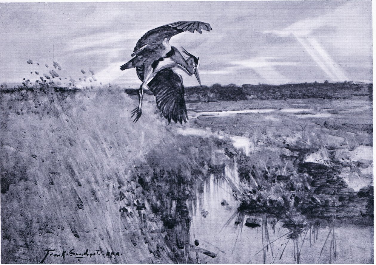 Jack Harnser-Heron von Frank Southgate