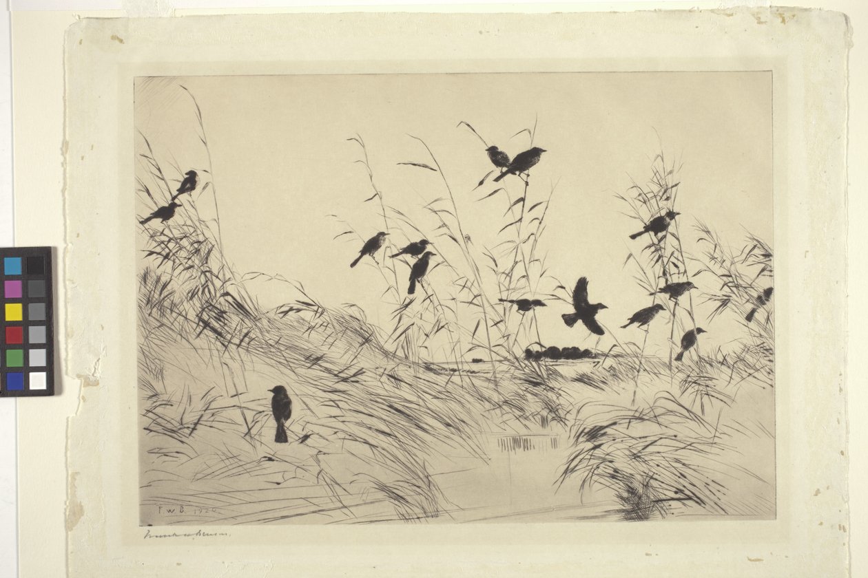 Amseln und Binsen von Frank Weston Benson