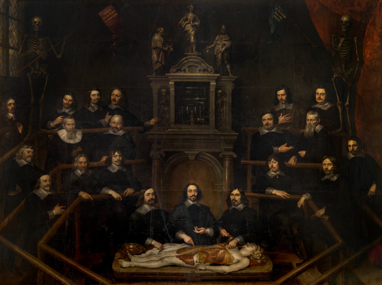 Die Anatomie-Lektion des Doktors Joannes van Buyten im Chirurgenzimmer in Antwerpen von Frans Denys