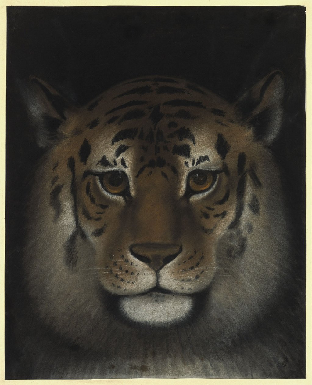 Tigerkopf von Franz Krüger