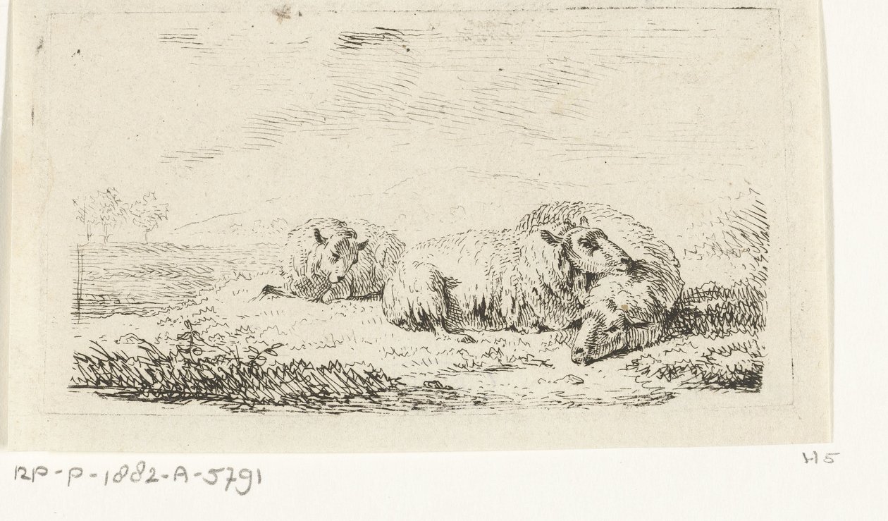 Drei Schafe liegend im Gras von Frédéric Théodore Faber