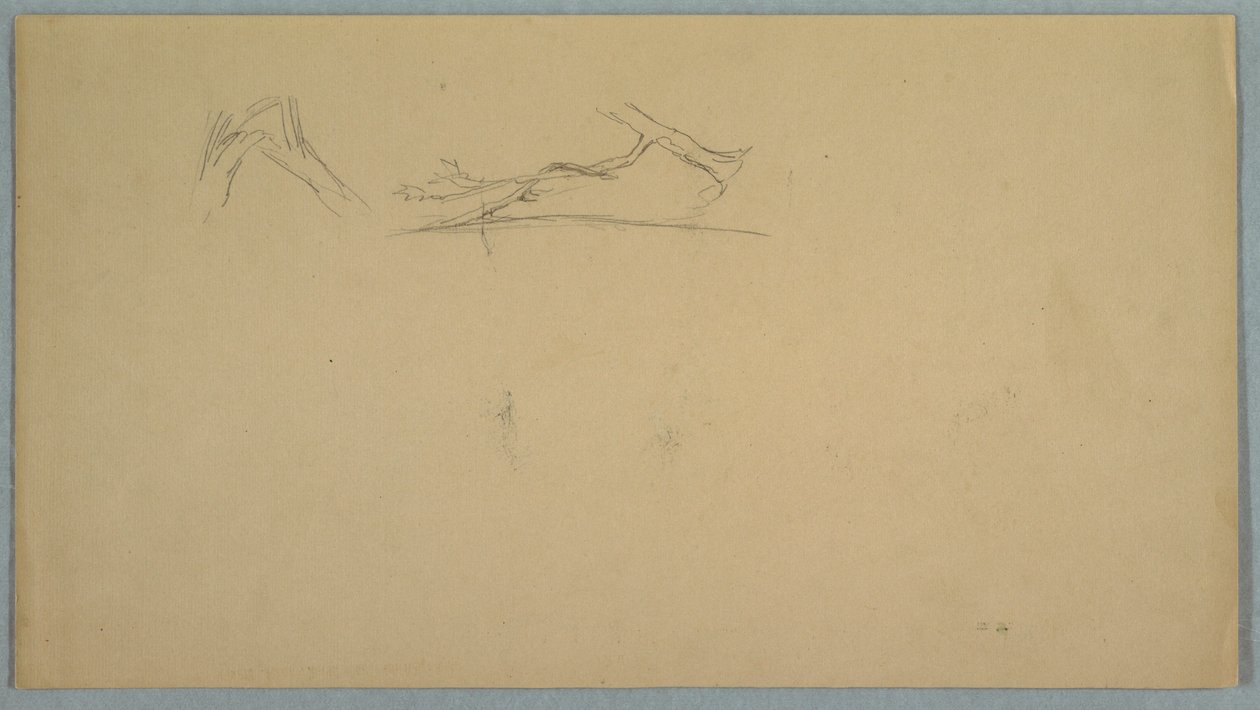 Gebrochene Baumstämme von Frederic Edwin Church
