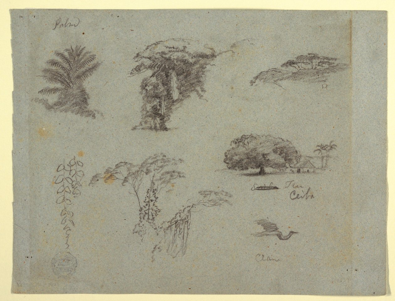 Botanische Skizzen aus Südamerika: eine Palme, Baumgruppen, hängende Zweige, ein großer Baum neben einem Haus und ein fliegender Kranich, 1853, wahrscheinlich Mai von Frederic Edwin Church