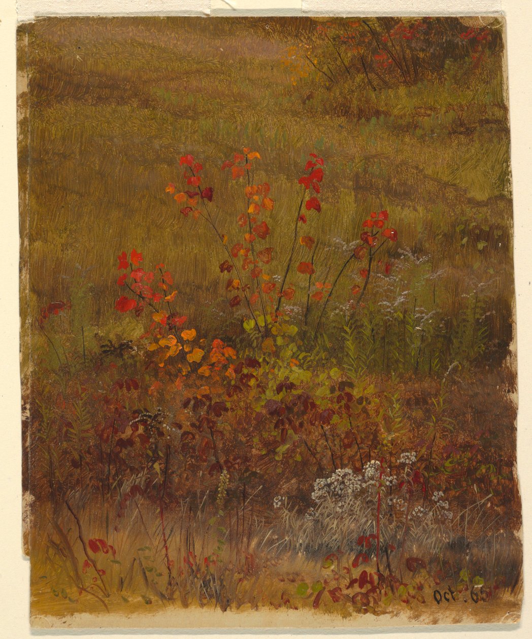 Zeichnung, Botanische Studien, Oktober 1865 von Frederic Edwin Church