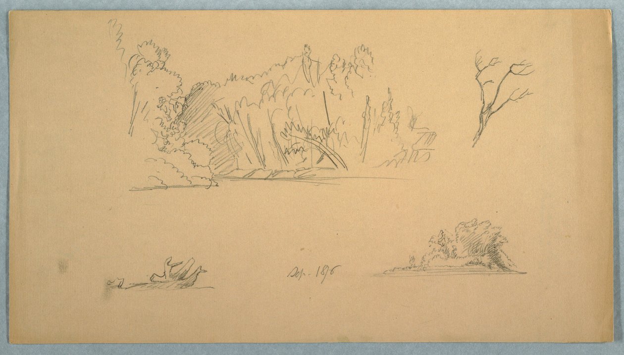 Zeichnung, Botanische Skizzen: Baum, Bäume am Ufer, September 1876 von Frederic Edwin Church