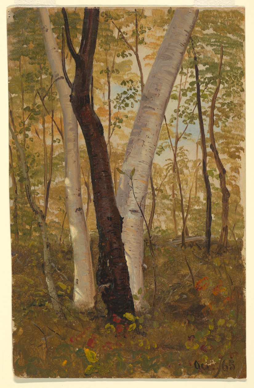 Zeichnung, In den Wäldern, Hudson, New York, Oktober 1865 von Frederic Edwin Church