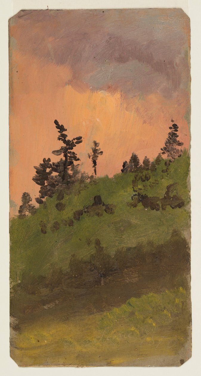 Landschaft im Wald, Juni 1870 von Frederic Edwin Church