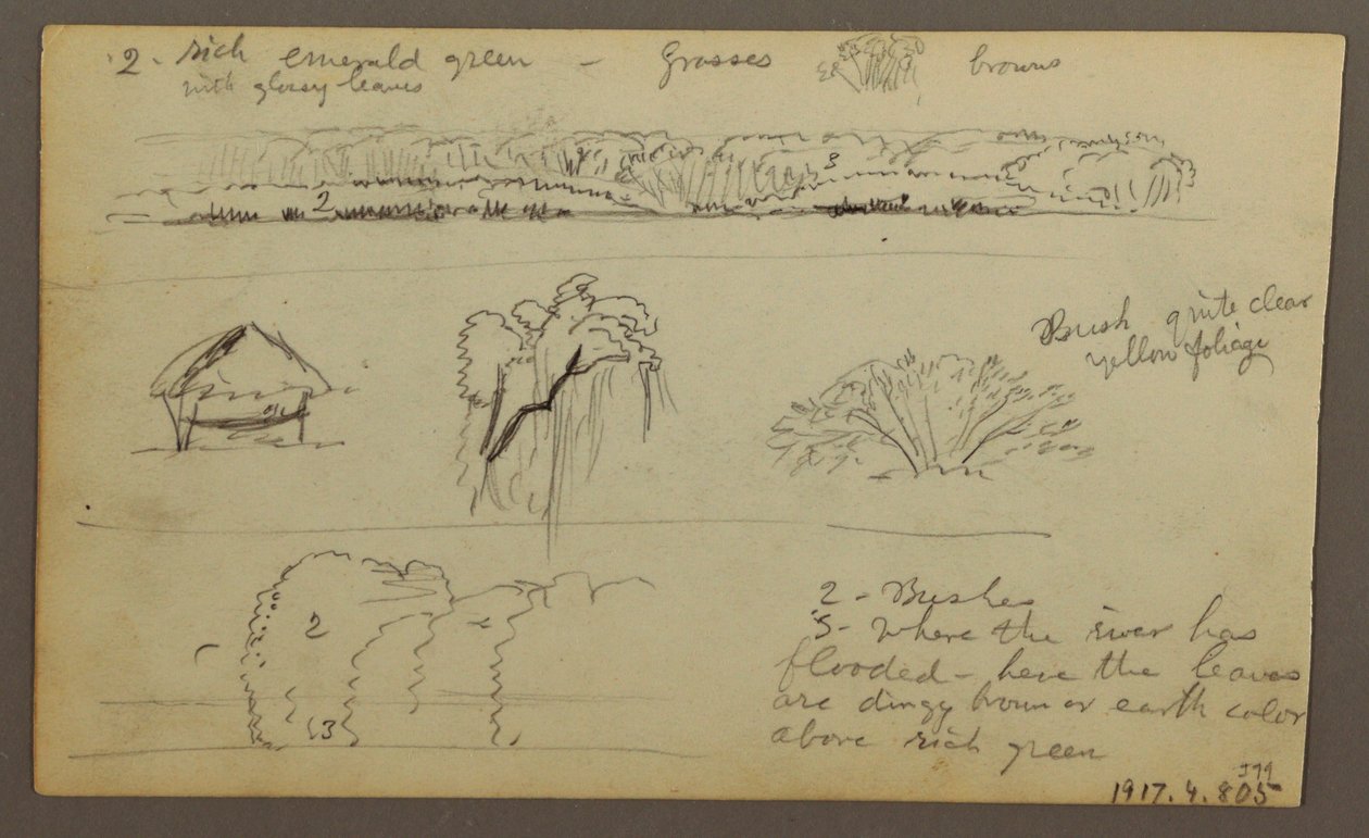 Zeichnung, Gebirgsketten "Einfahrt nach Guayaquil"; Rückseite: Flussufer, Botanische Skizzen, möglicherweise 1857 von Frederic Edwin Church