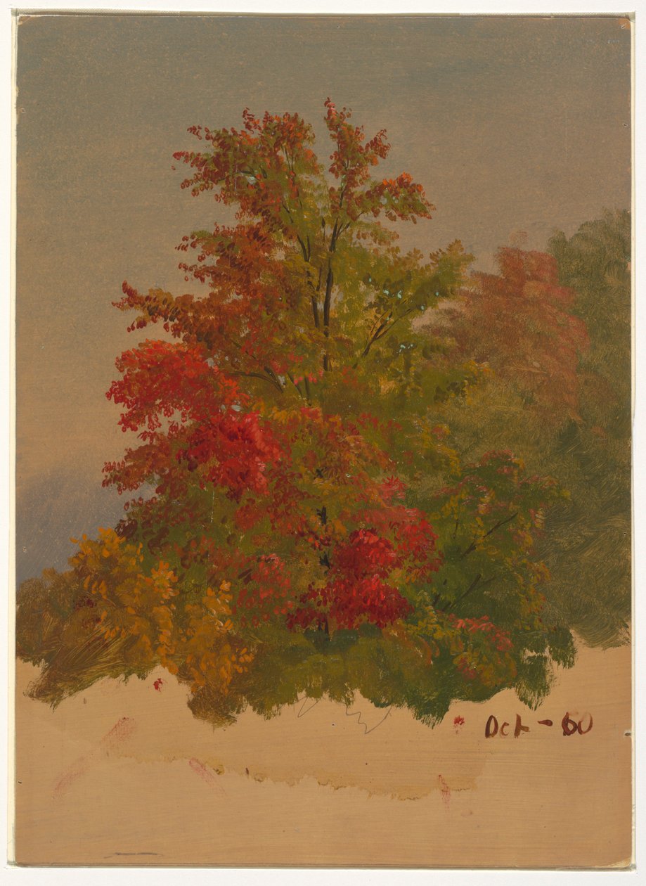 Zeichnung, Insel Mt. Desert?, Maine, Oktober 1860 von Frederic Edwin Church