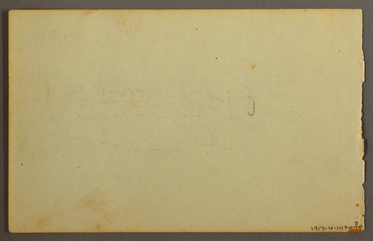 Pflanzenstudie, Gesichter von Frederic Edwin Church