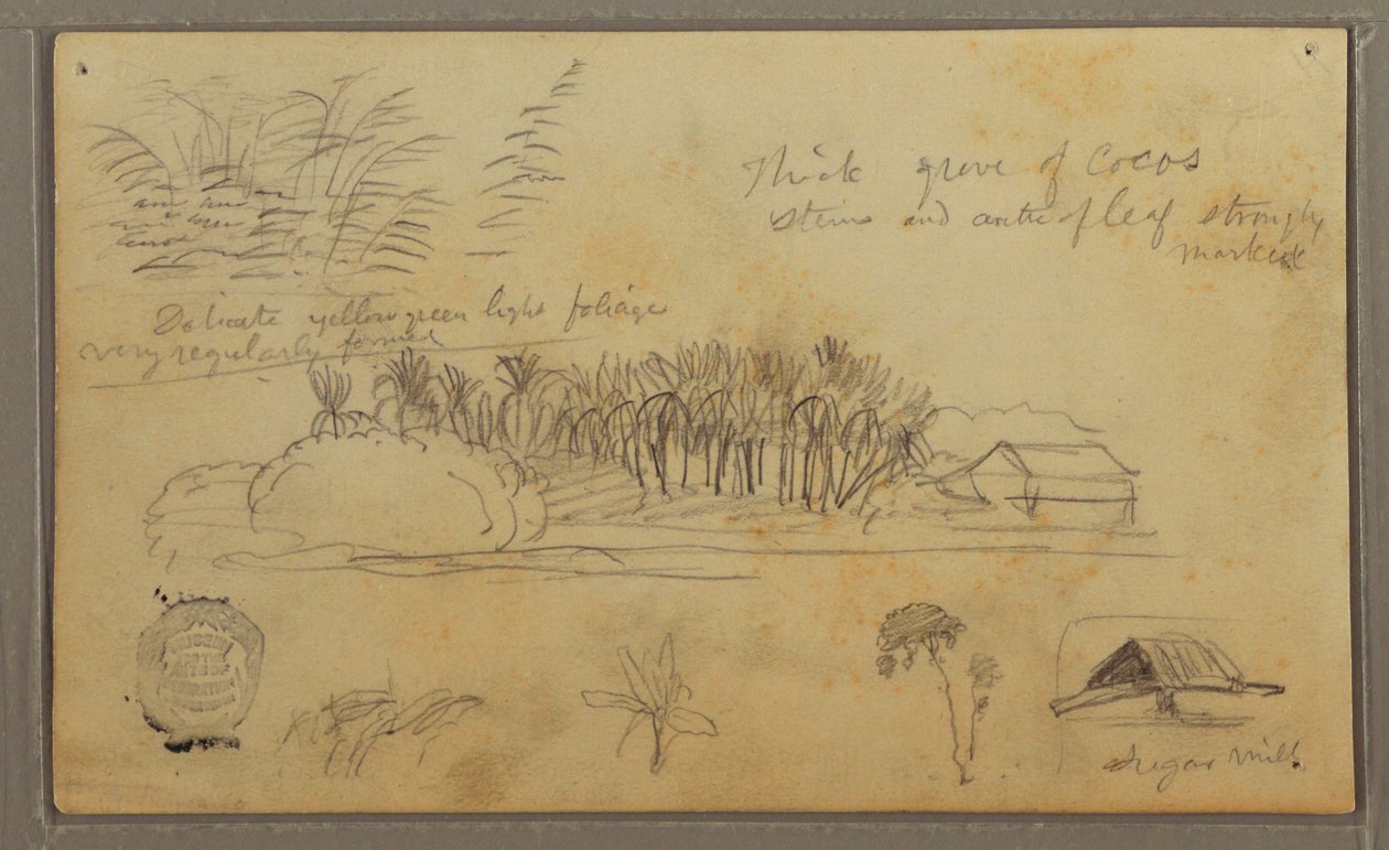 Skizzen, Ecuador oder Kolumbien; Verso: Skizzen, Ecuador oder Kolumbien, 1857 von Frederic Edwin Church