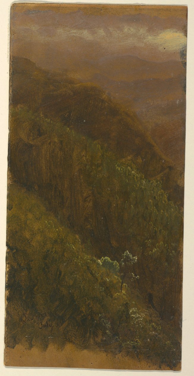 Zeichnung, Steiler Hang, Juli 1865 von Frederic Edwin Church