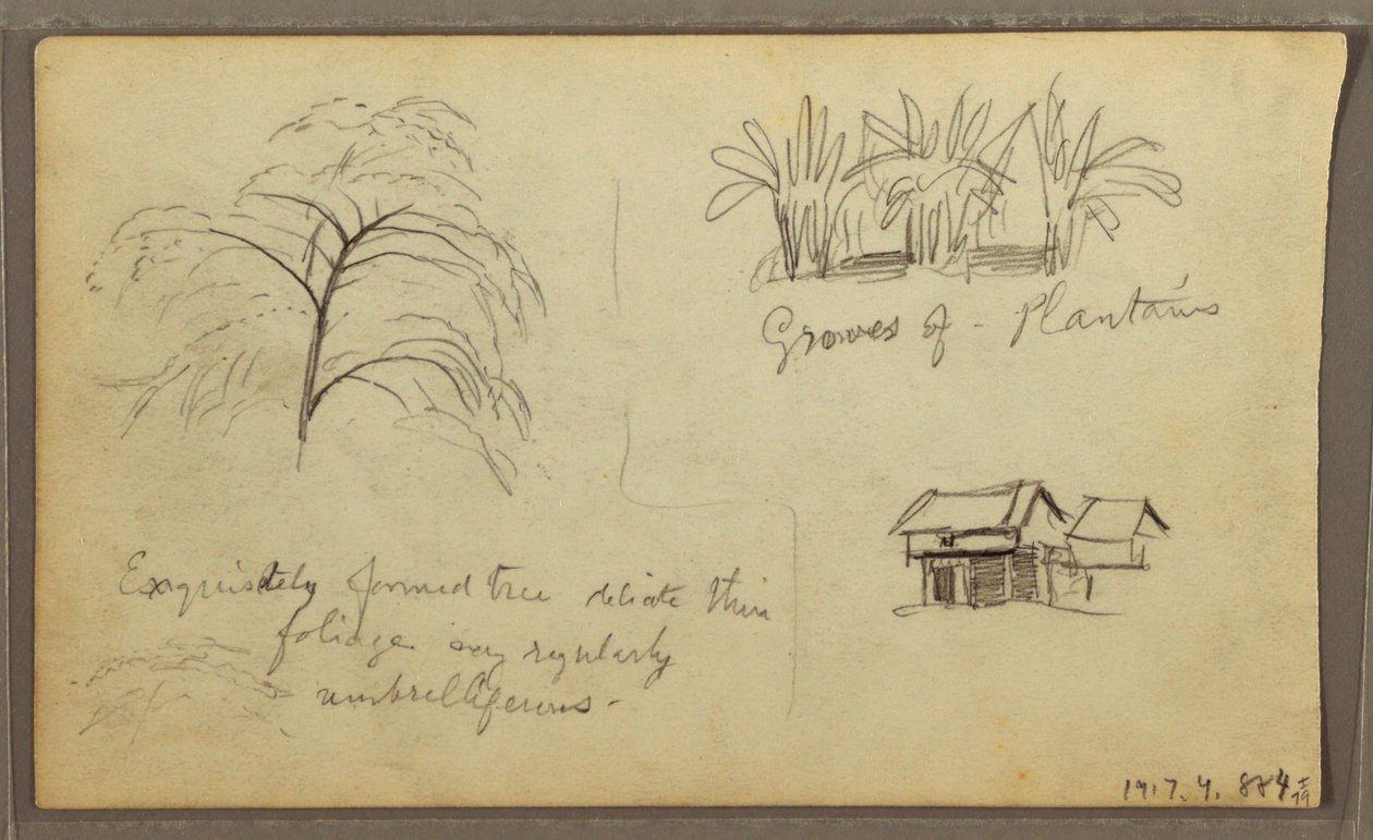 Zeichnung, Straßenecke in Guaquil, Ecuador; Verso: Botanische Skizzen, Haus, Ecuador oder Kolumbien, 1857 von Frederic Edwin Church