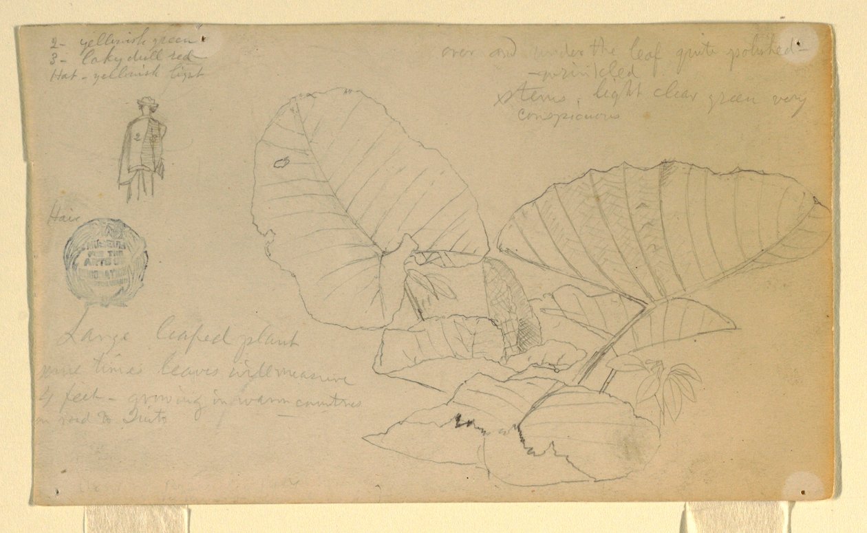 Zeichnung, Studie eines Mannes von Frederic Edwin Church