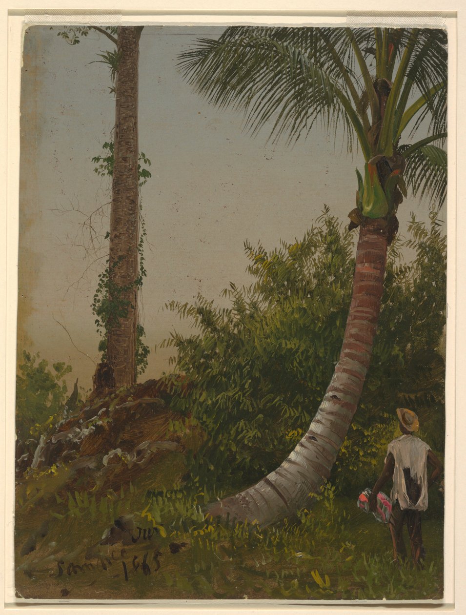 Bäume in Jamaika, Westindische Inseln, 1865 von Frederic Edwin Church