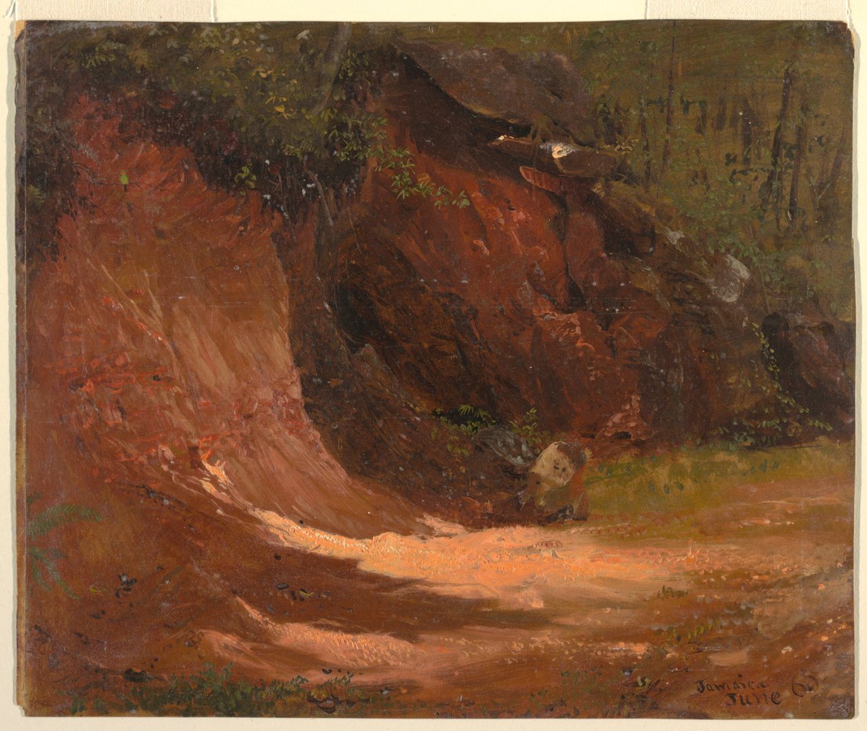 Zeichnung, Waldlandbank, Jamaika, Juni 1865 von Frederic Edwin Church