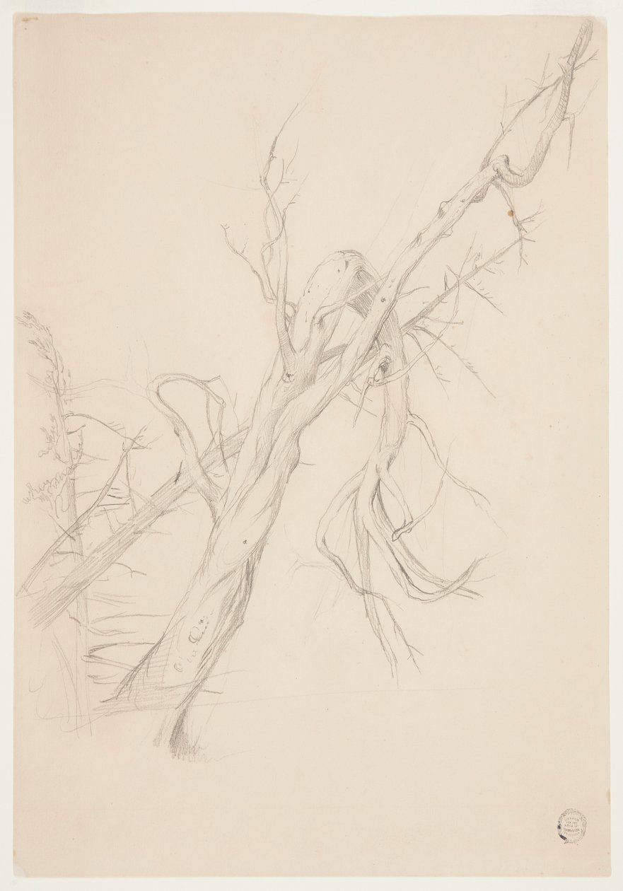 Knotiger toter Baum von Frederic Edwin Church