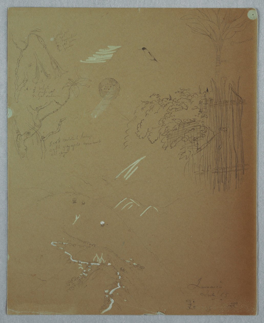 Naturstudien, Blue Mountains, Jamaika von Frederic Edwin Church