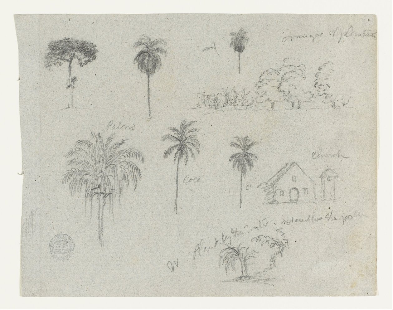 Skizzen vom Rio Magdalena, Kolumbien. Botanische Skizzen. Eine Kirche. von Frederic Edwin Church