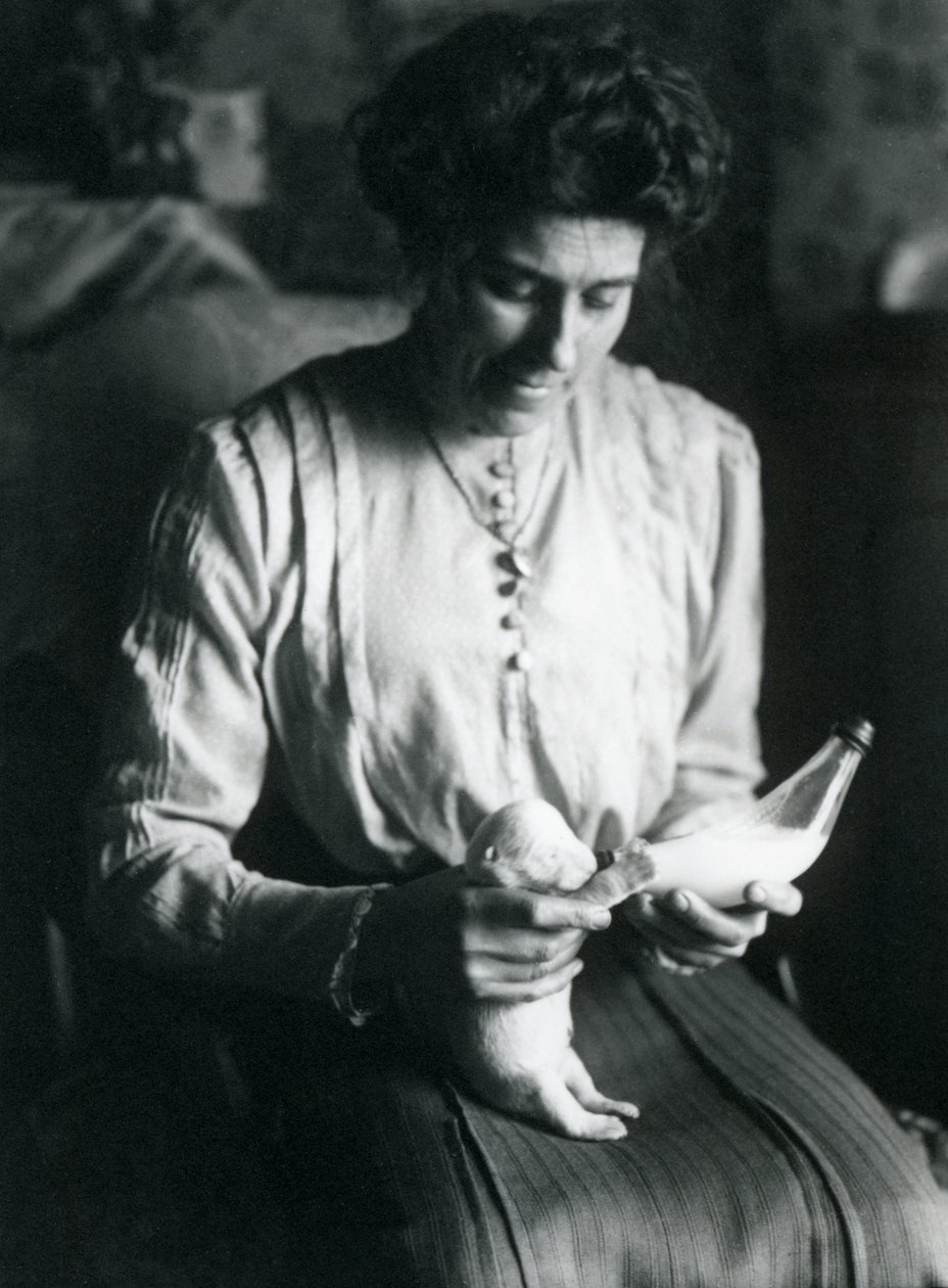 Die Frau eines Tierpflegers füttert ein neugeborenes Eisbärenjunges mit der Flasche, Londoner Zoo, ca. 1914 von Frederick William Bond
