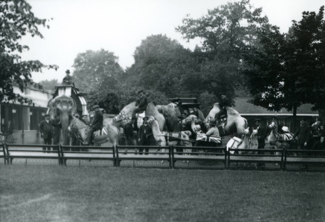Reittiere geschmückt für die Friedensfeierlichkeiten, 19. Juli 1919 von Frederick William Bond