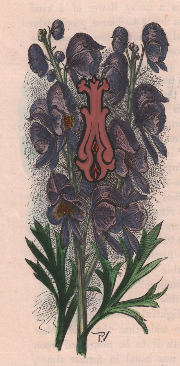 Buchstabe I, Initiale, Aquarellgravur, ca. 10x5 cm, von Frederick Edward Hulme aus 