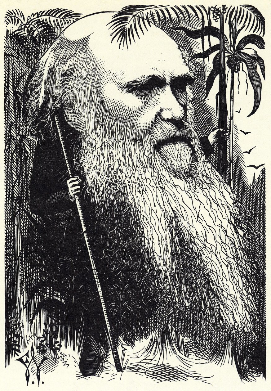 Charles DARWIN von Frederick Waddy