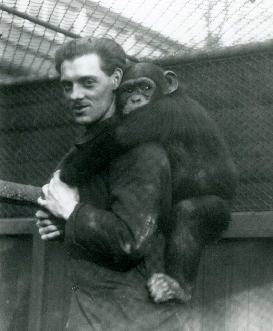 Ein Mann trägt Schimpansin Sally auf seinem Rücken, London Zoo, 1924 von Frederick William Bond