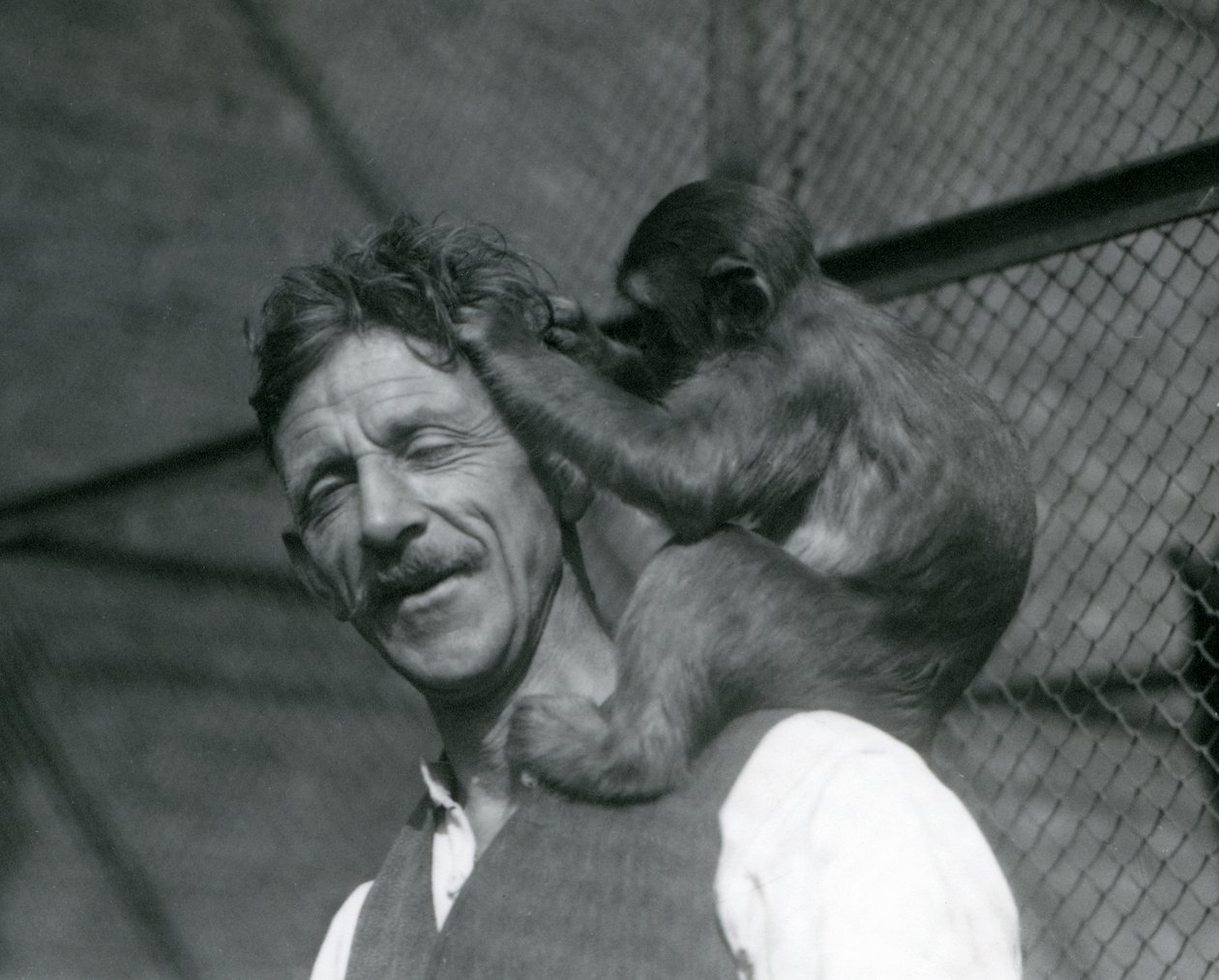 Ein junger Affe, der das Haar des Pflegers Flewin pflegt, London Zoo 1928 von Frederick William Bond
