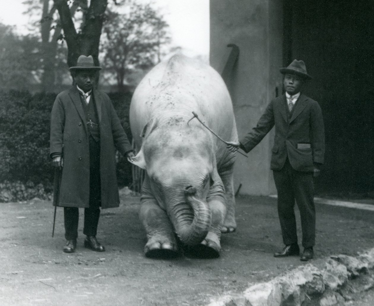 Albino-Weißer Elefant Pawah mit Dr. Saw Po Min und Sohn, Londoner Zoo, Mai 1926 von Frederick William Bond