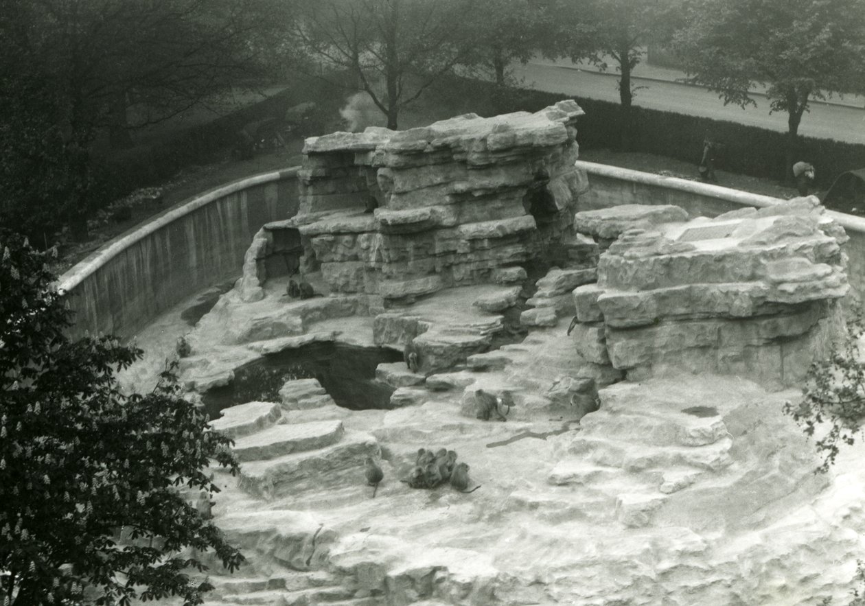 Affenhügel, gesehen von der Spitze der Mappin Terrassen, Londoner Zoo von Frederick William Bond