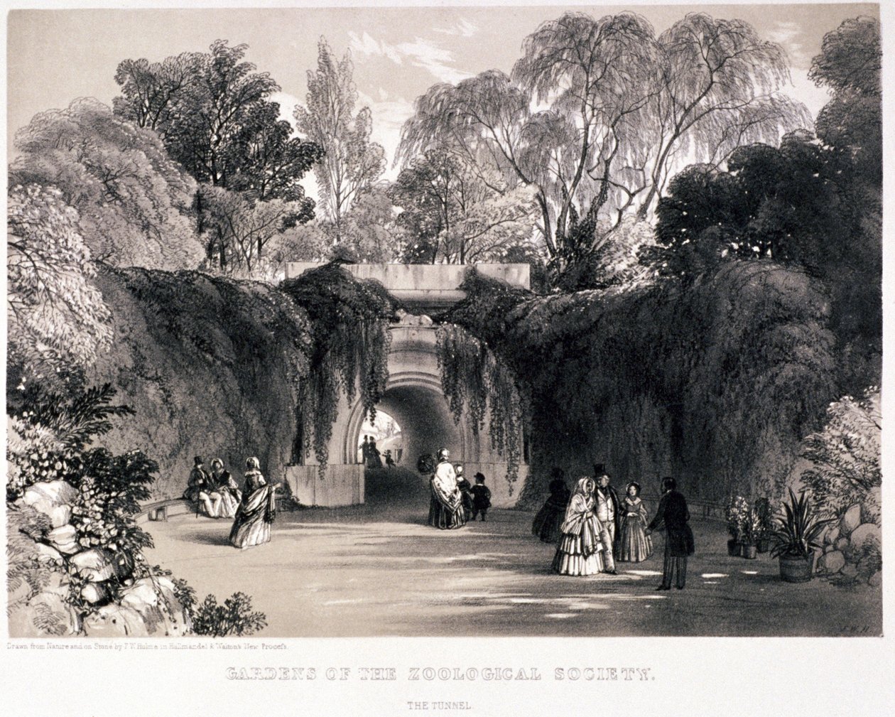 Zoologische Gärten, Regent