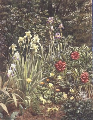 Eine Ecke des Gartens von Frederick William Jackson