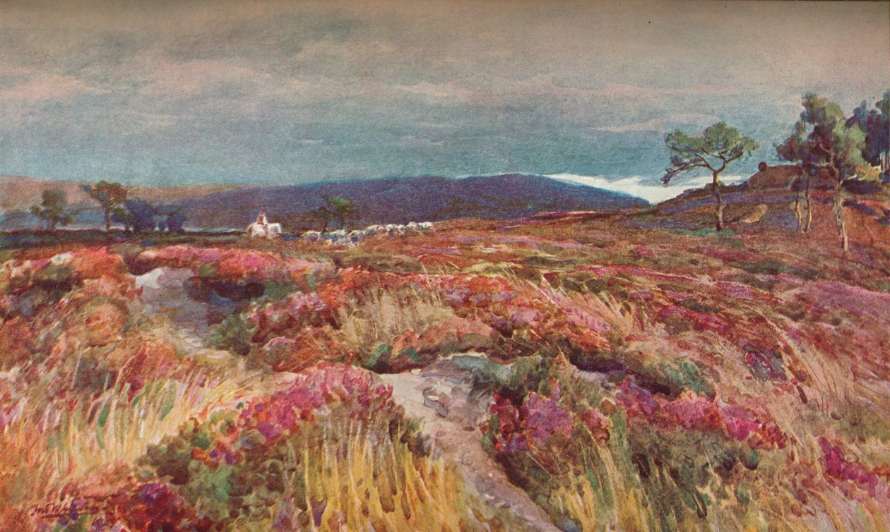 Auf der Heide Lytchett Minster von Frederick William Newton Whitehead