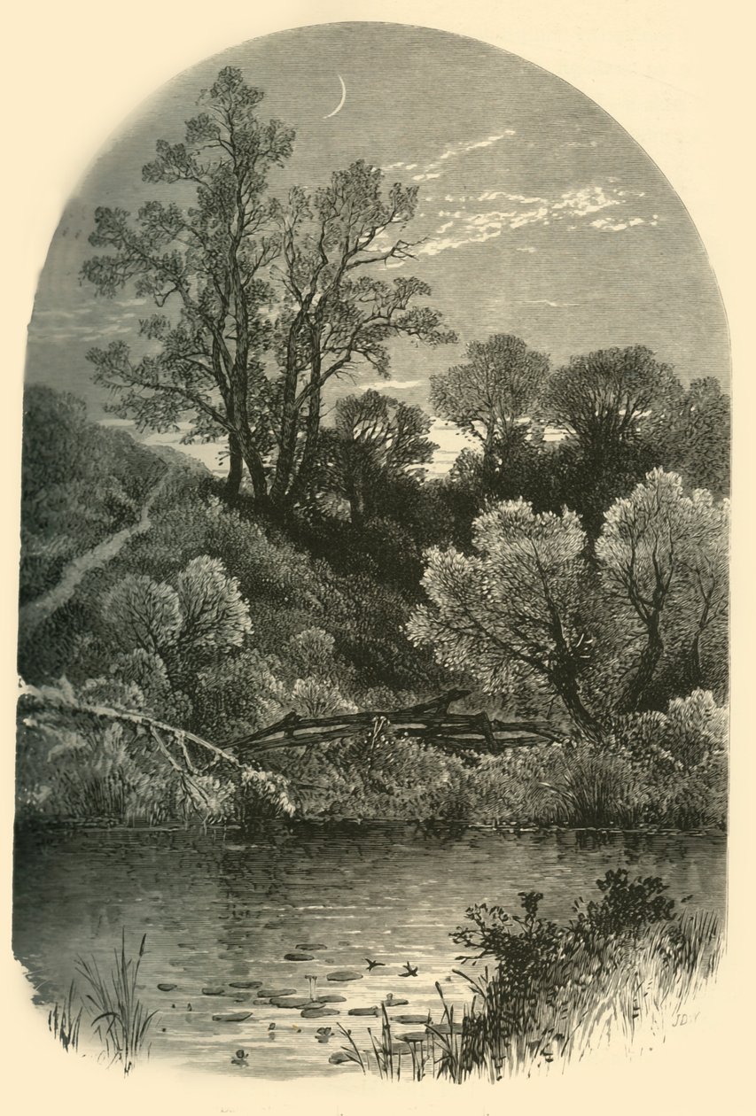 Ufer des Housatonic in Pittsfield, 1874 von Frederick William Quartley